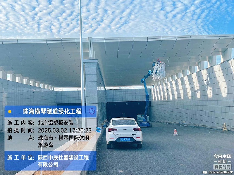 珠海横琴隧道绿化工程